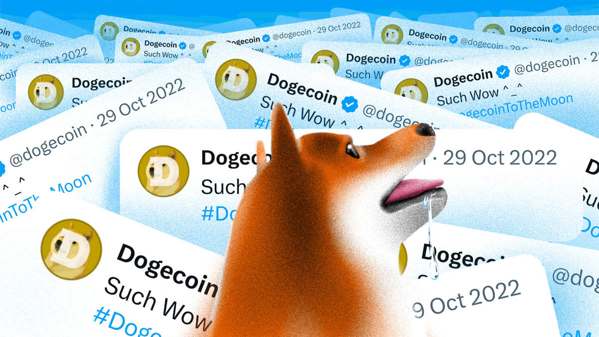 Dogecoin (DOGE) ETF: Arthur Hayes und Raoul Pal äußern sich