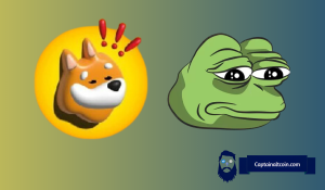 Les prix des Meme Coins Pepe et Bonk augmentent : voici pourquoi