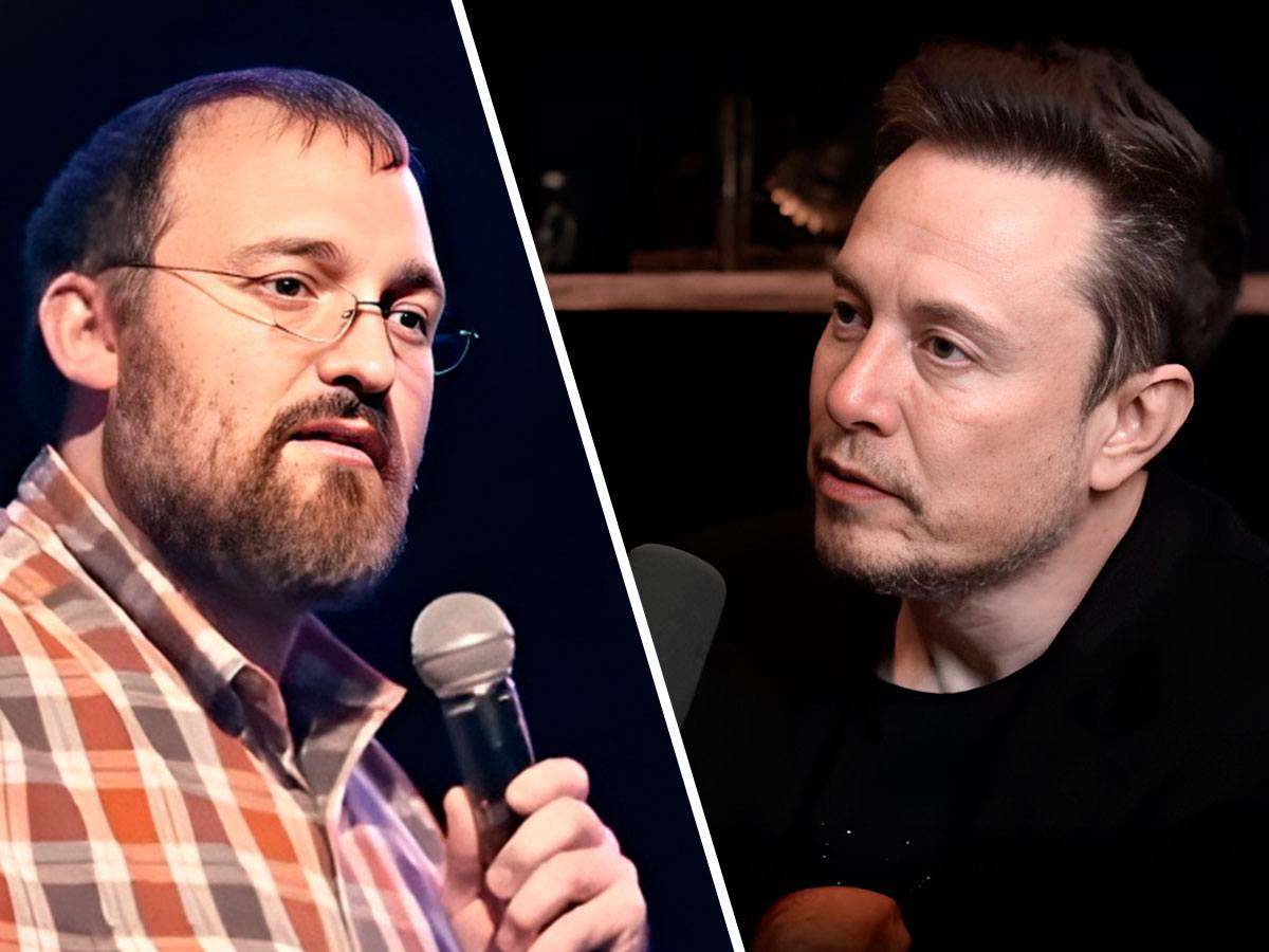 El fundador de Cardano dice que Elon Musk puede poseer el 20% del suministro de Dogecoin