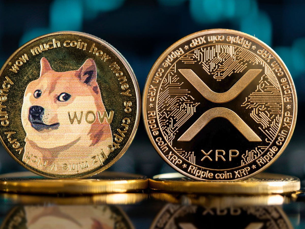 XRP 與狗狗幣：誰佔據市場主導地位？