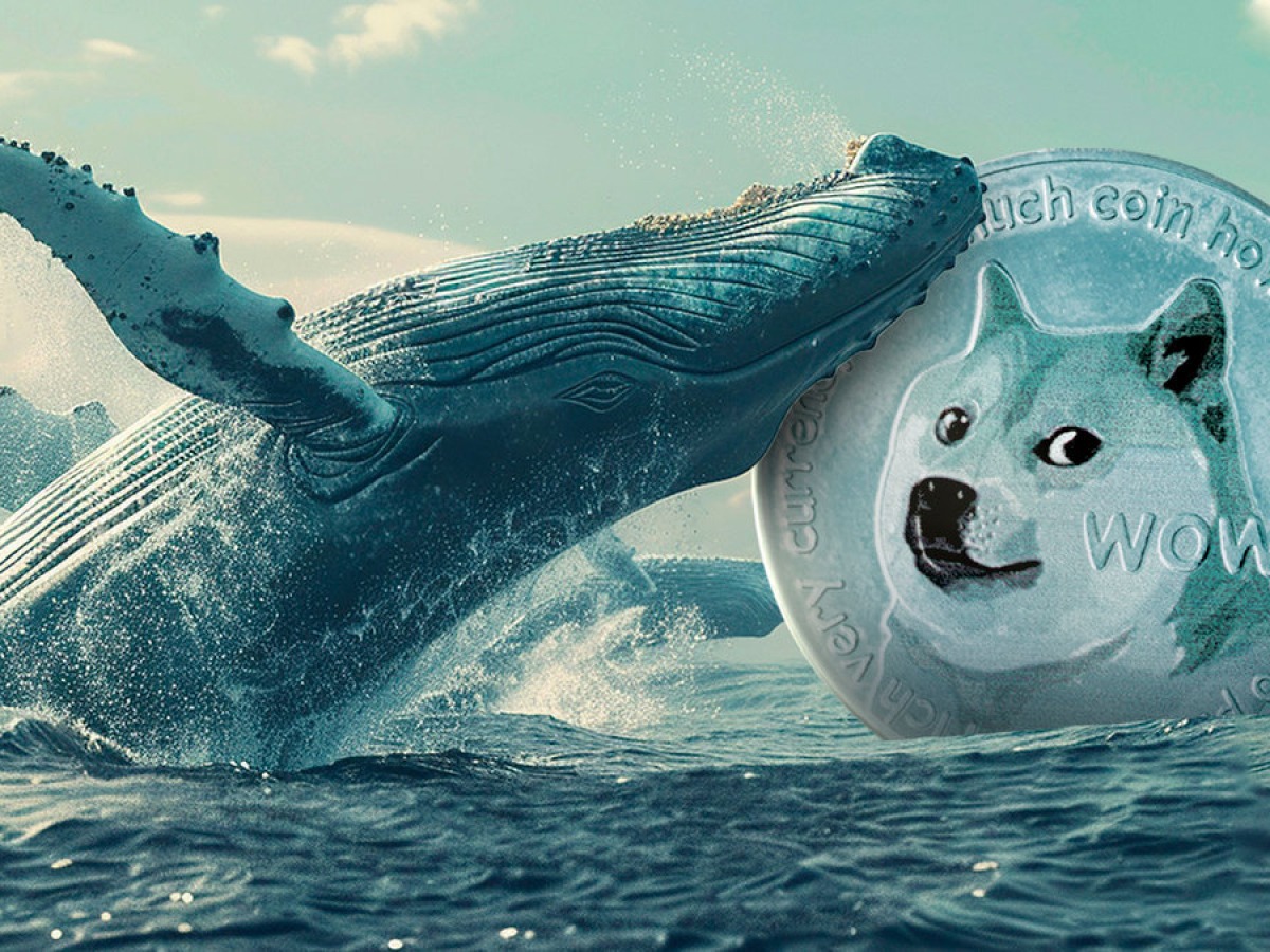 クジラが目覚め、64億のドージコイン（DOGE）がシャッフルされる