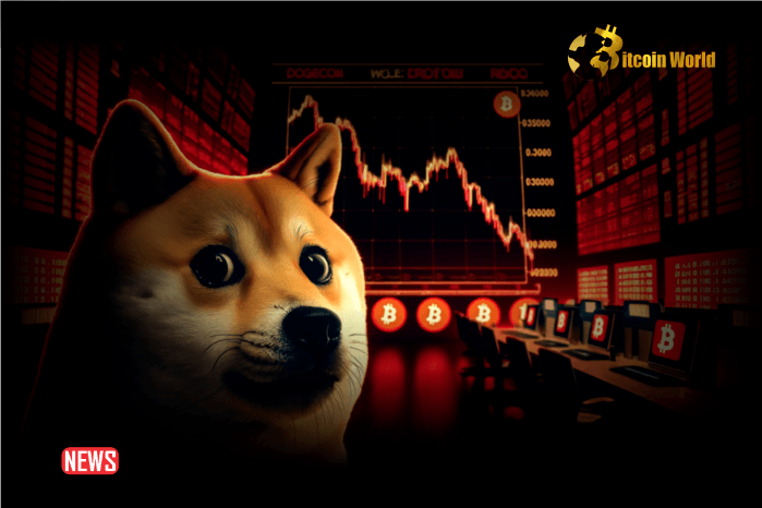 Анализ цен DOGE: почему произошел крах Dogecoin?