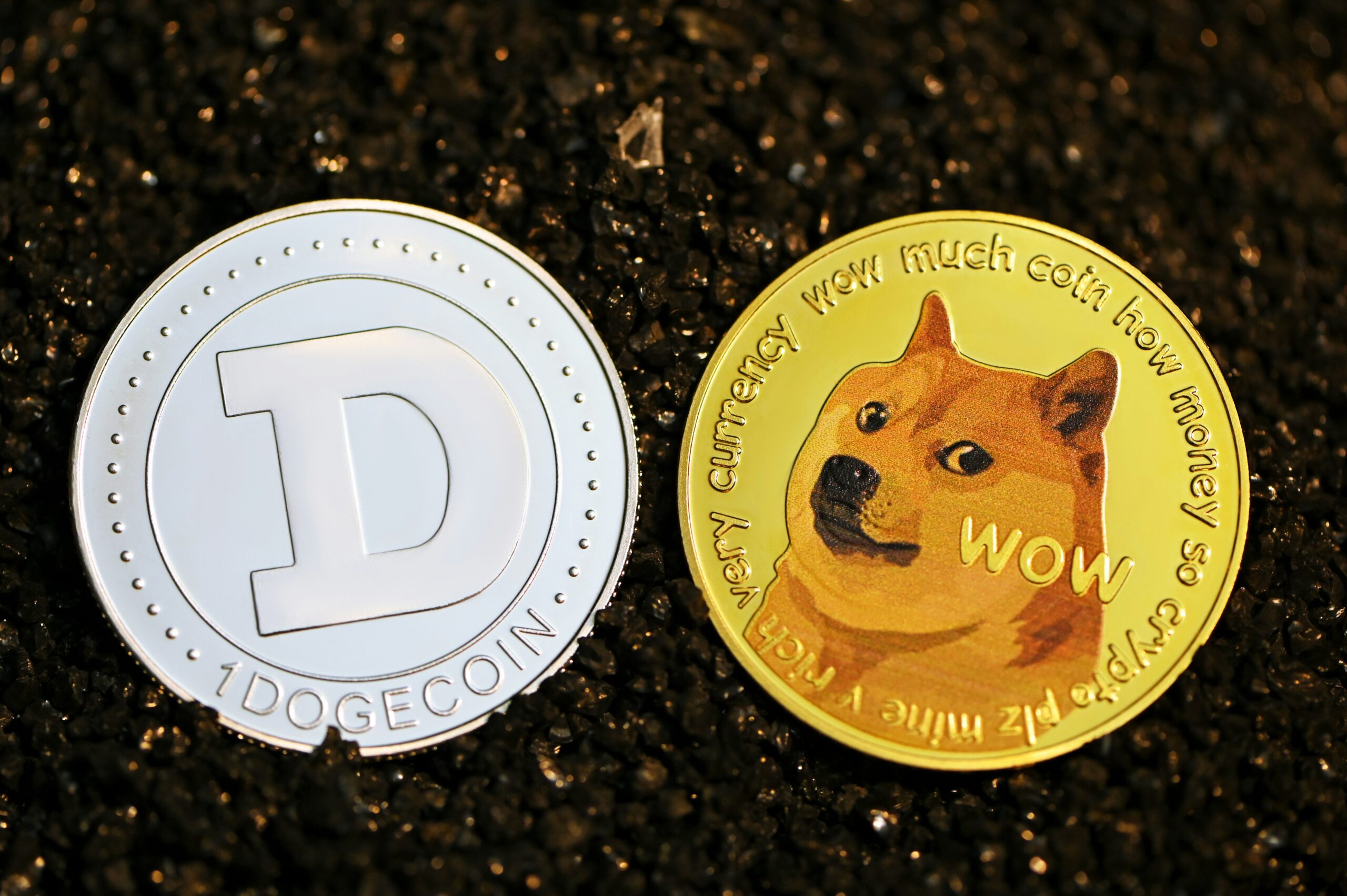 Dogecoin Price Prediction: Analysing Community Changes and Market Impact