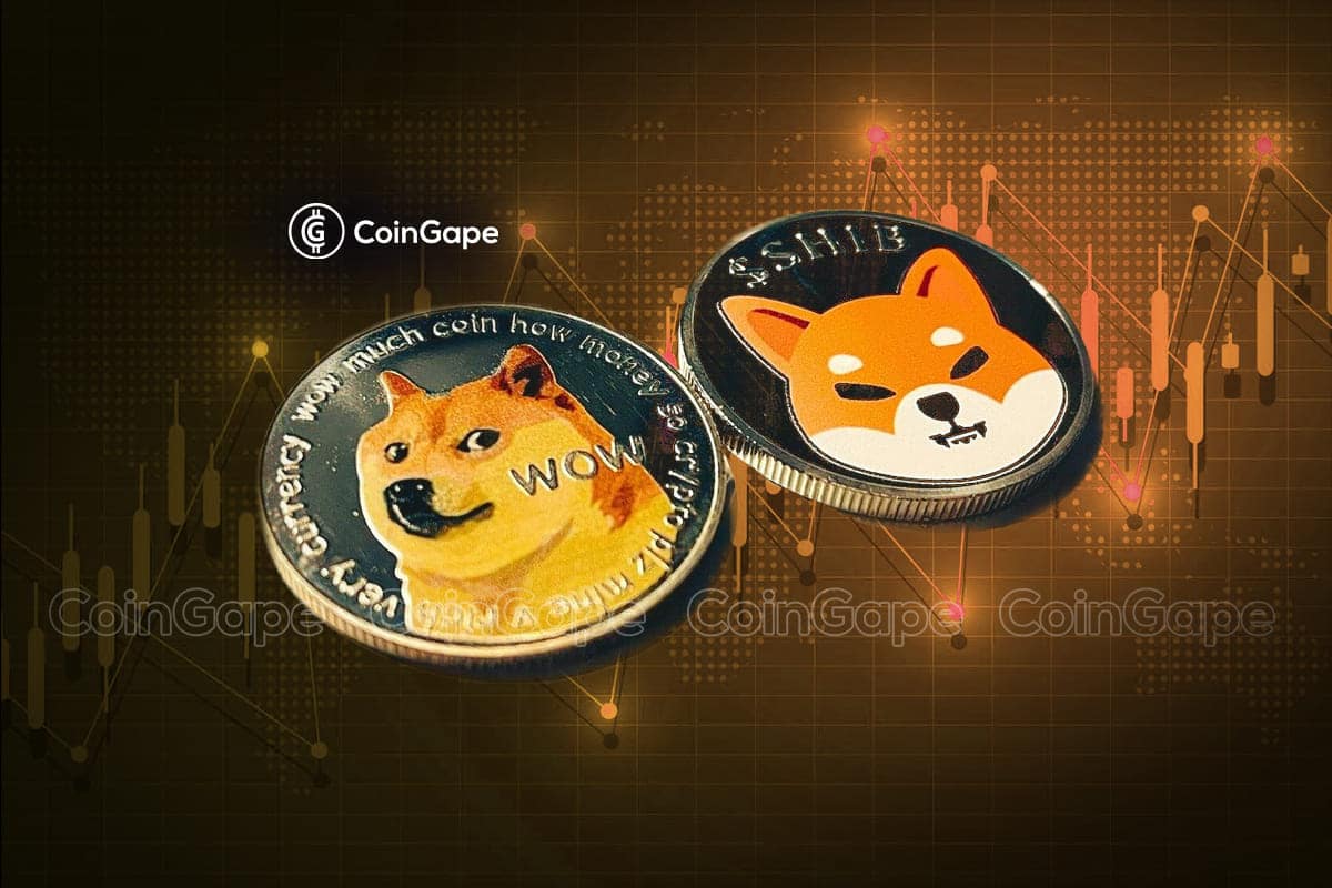 오늘 Dogecoin과 Shiba Inu 가격이 하락한 이유는 무엇입니까?
