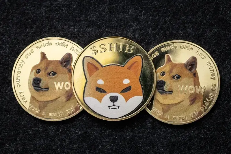 Dogecoin (DOGE) and Shiba Inu (SHIB) Lose Steam as KangaMoon (KANG) Launches On Uniswap With Two CEX Listing Upcoming