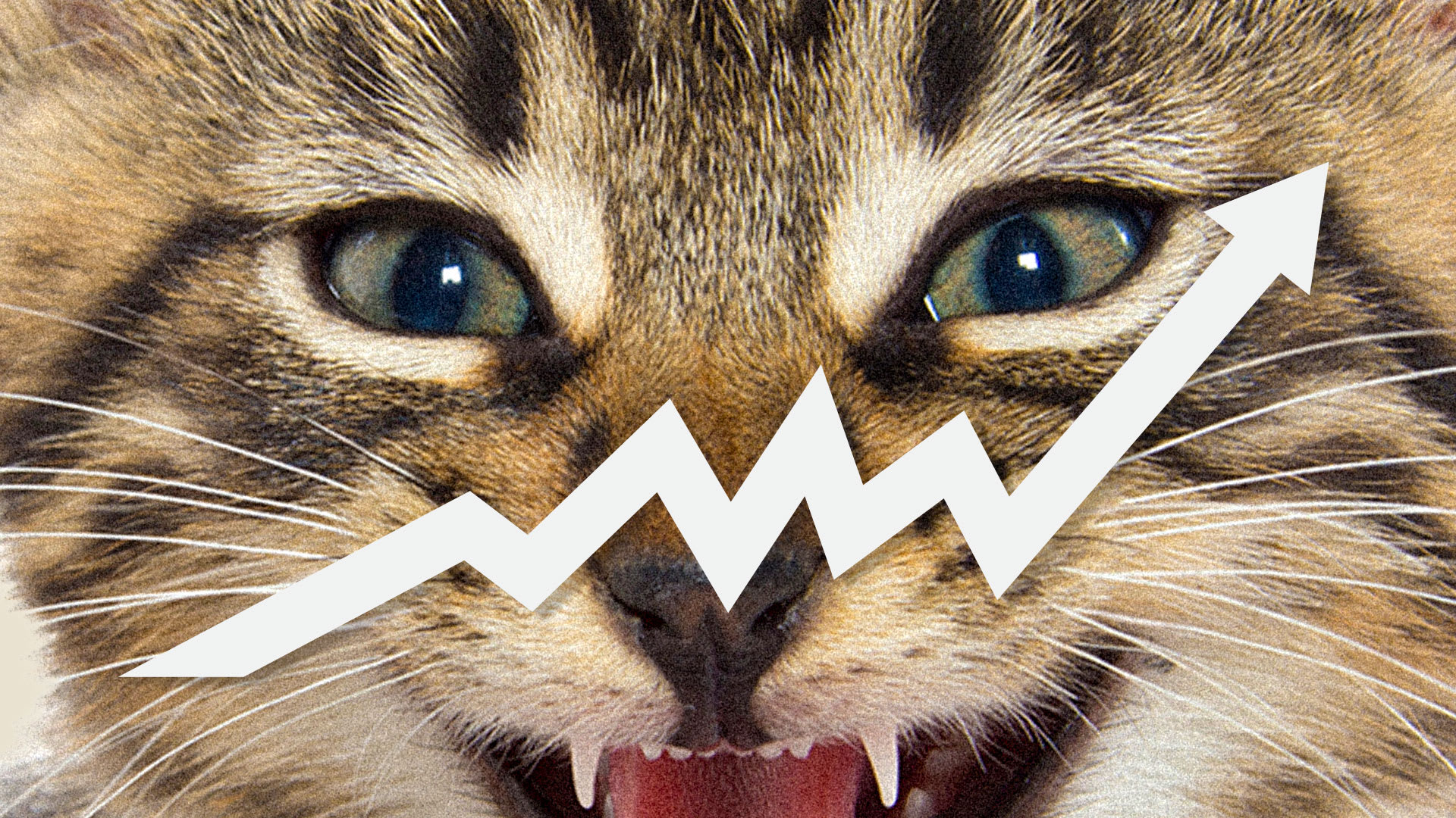 Predicción del precio de Roaring Kitty: KITTY aumenta un 26% mientras los analistas dicen que la demanda contra Keith Gill está 