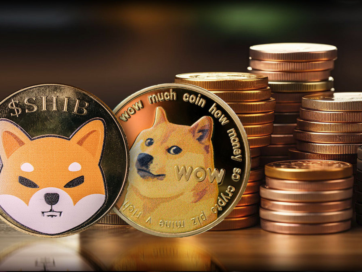 SHIB vs. DOGE: 柴犬はドージコインに対して「極端に売られすぎ」の兆候