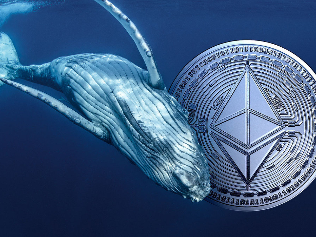 Large Ethereum Whale on Verge of Liquidation as ETH Bloodbath Deepens