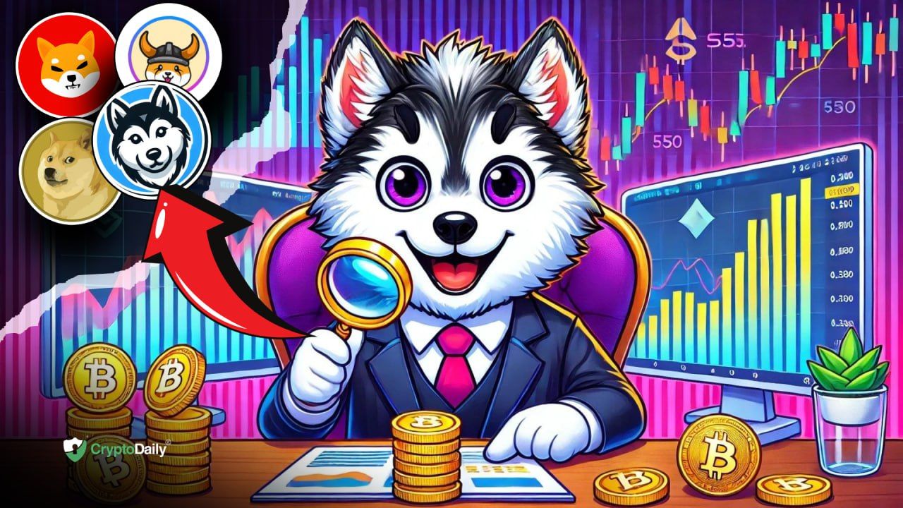 2024 年に注目すべきエキサイティングなミームコイン: $SHIB、$FLOKI、$DOGE、$HINU