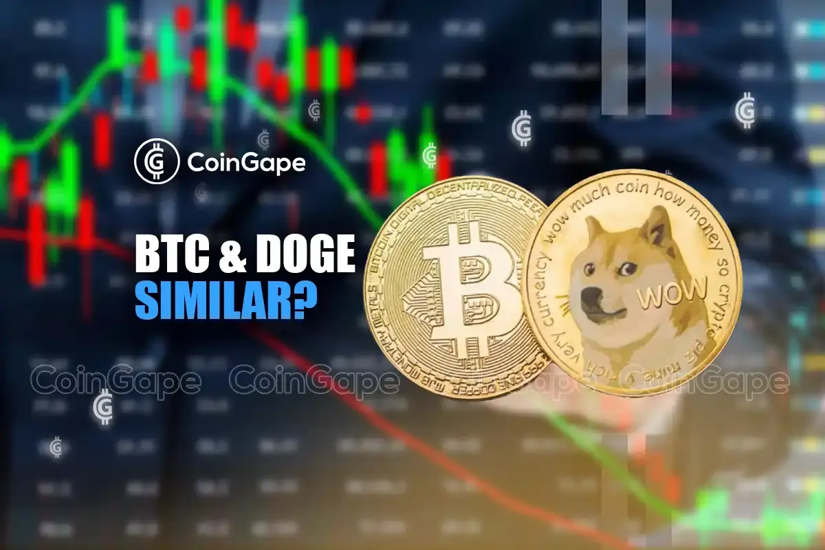 ¿Qué tienen en común Bitcoin y Dogecoin?