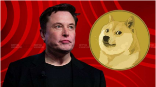 Elon Musk’s Support Boosts Hope Despite Dogecoin’s 15.55% Drop