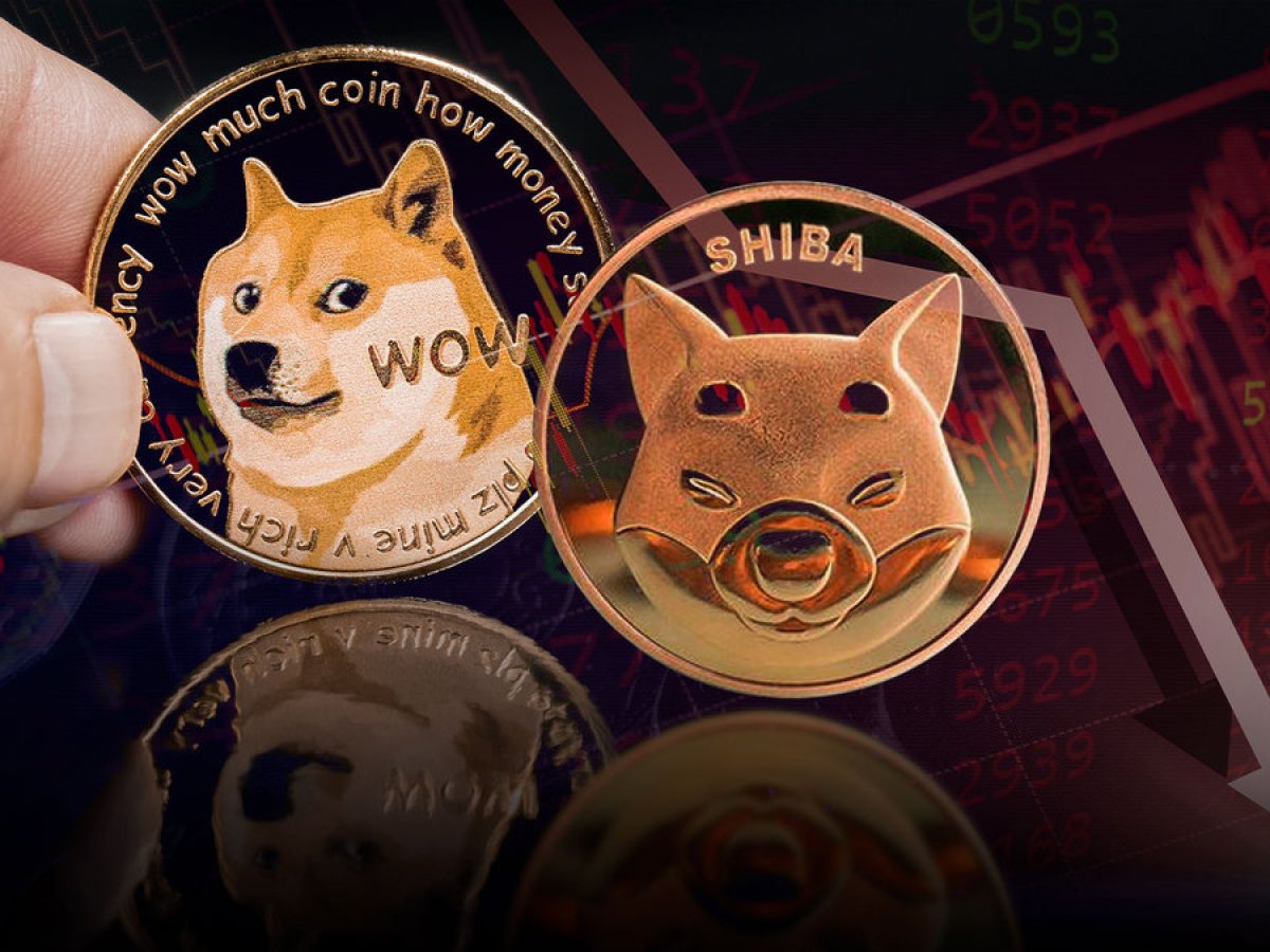 Shiba Inu (SHIB) and Dogecoin (DOGE) Among Top Crypto Laggards as Market Sees Severe Downturn