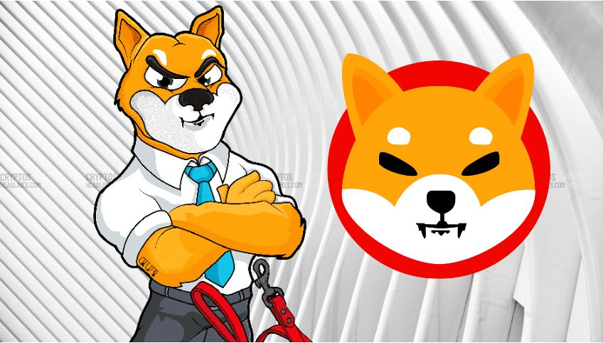 Shiba Inu Wallet Maker Teams Up with Visa for Crypto Payments