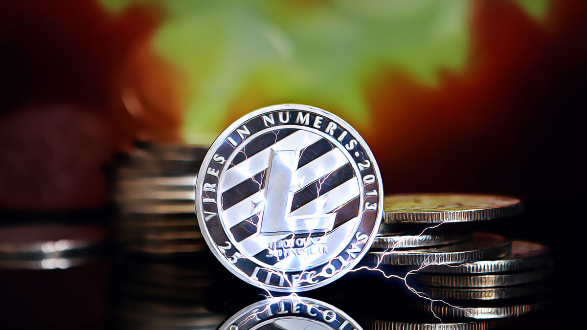 Litecoin dominiert große Transaktionen