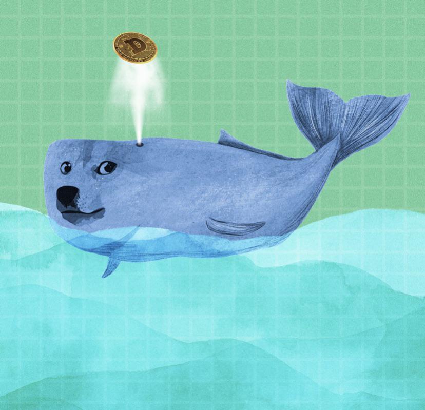 Les achats de baleines Dogecoin augmentent de 868%, les taureaux sont prêts pour un rallye en petits groupes