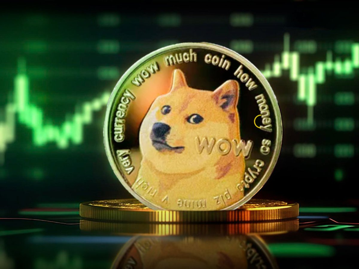 800 Millionen DOGE in 1 Stunde – was ist passiert?