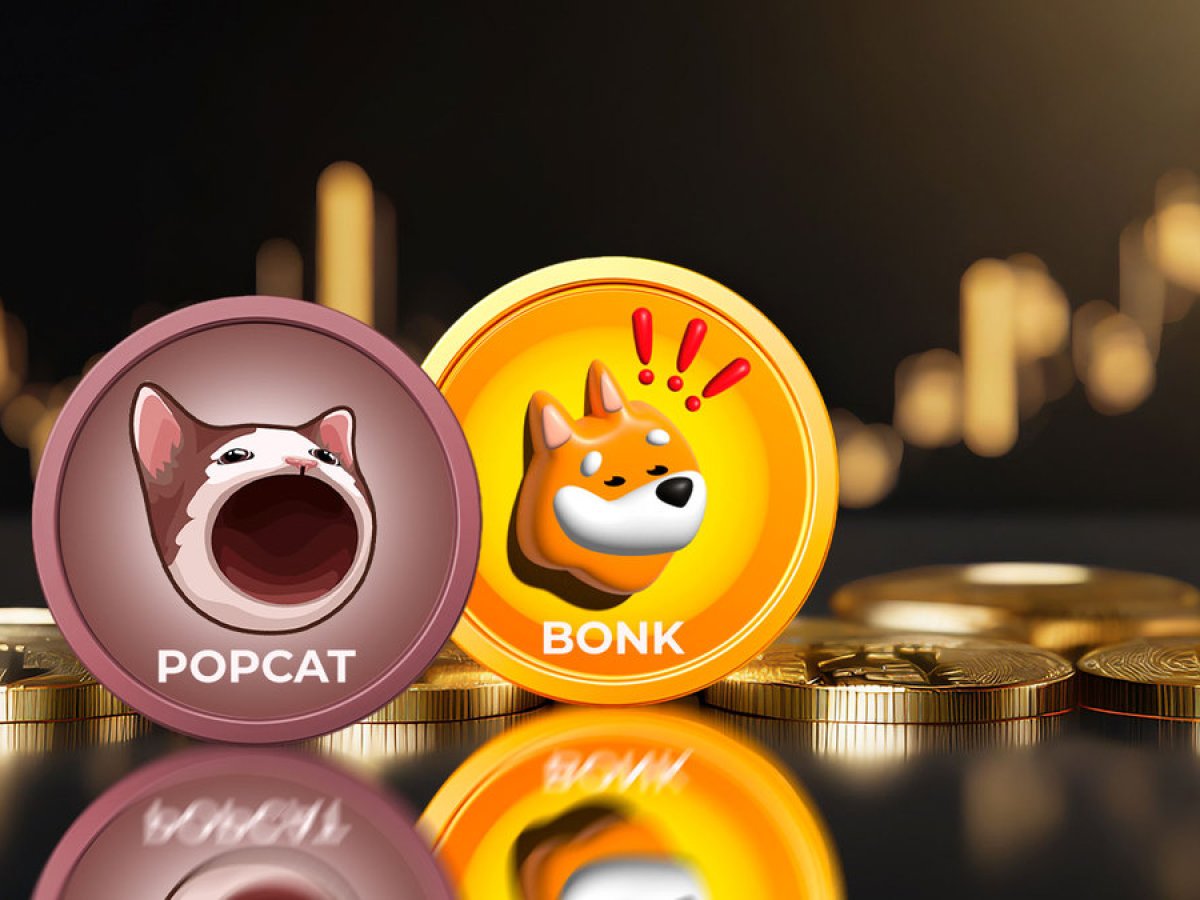 Meme 幣 POPCAT、BONK 火爆，一夕之間實現兩位數漲幅