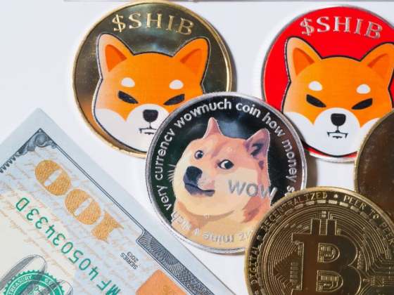 Dogecoin과 Shiba Inu 고래가 Robinhood에서 수백만 달러를 인출했습니다. 무슨 일이 일어났나요?