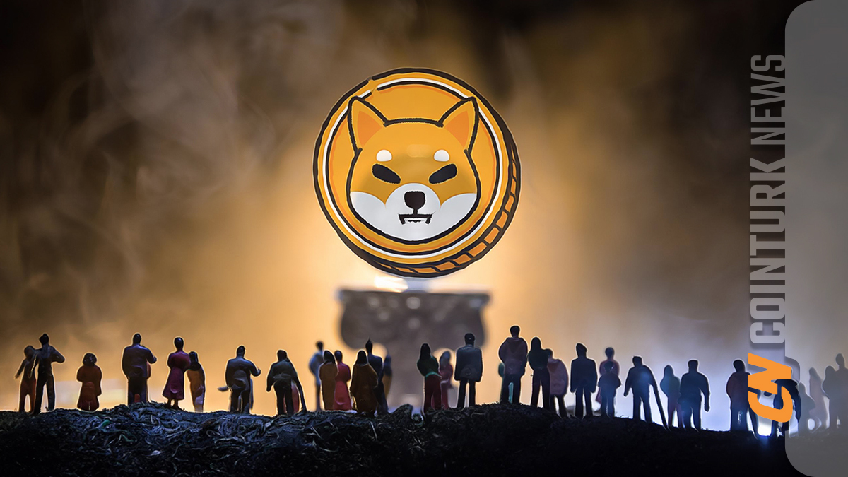 Shiba Inu y Dogecoin experimentan un declive