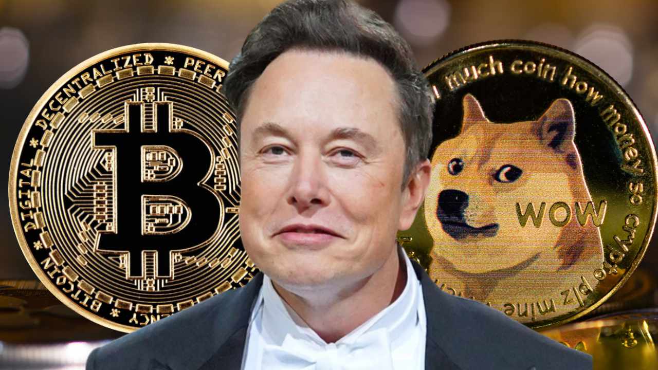 Elon Musk parle de Bitcoin (BTC) et de Dogecoin (DOGE) !