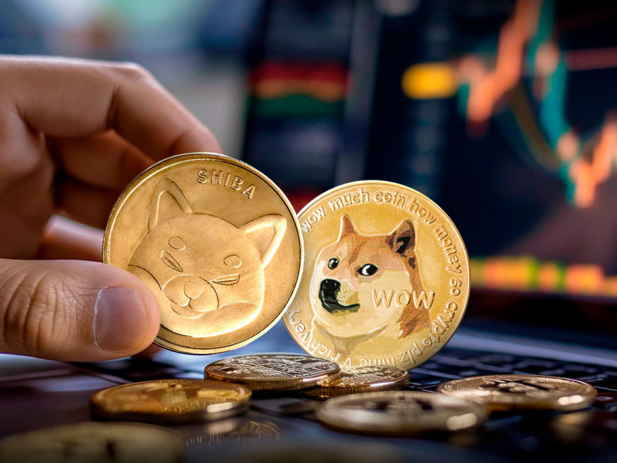 Le fondateur de Dogecoin fait une déclaration inattendue sur Shiba Inu