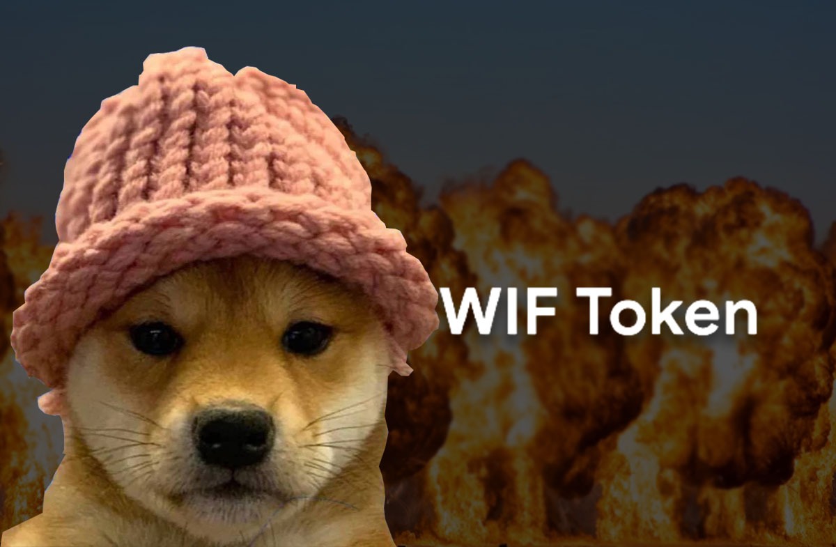 Dogwifhat (WIF) 未平仓合约暴跌 28%，交易者紧张不安