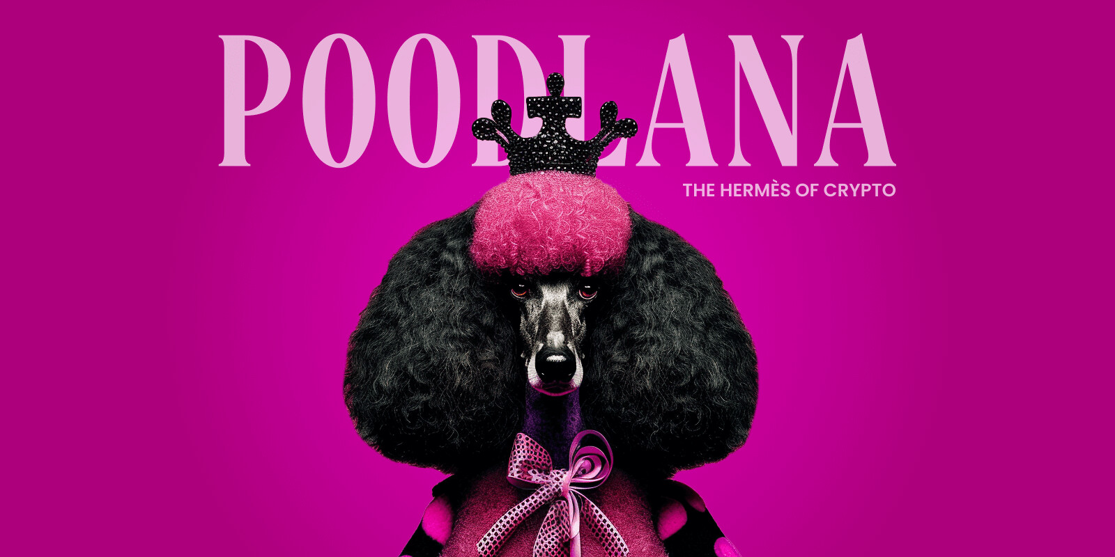 Final Week: Poodlana’s Viral Presale Closes Soon with $6m Raised