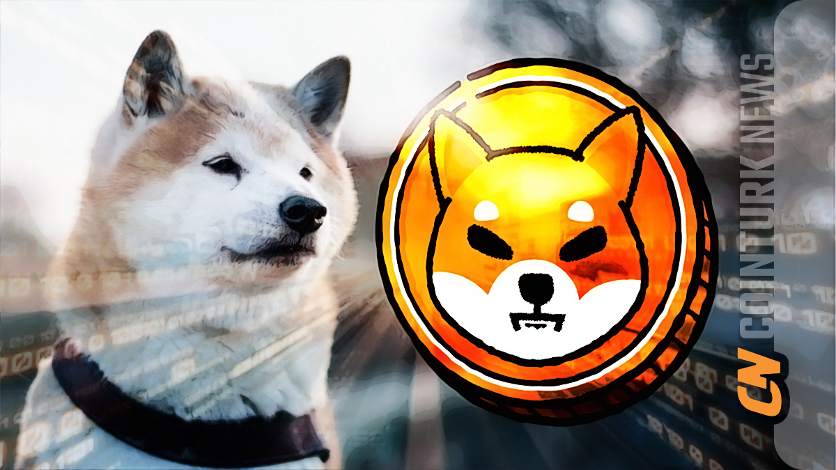 Shiba Inu Shows Potential for a Rally Despite Recent Decline