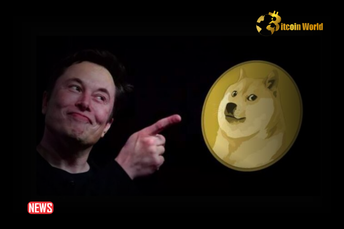 馬斯克 (Elon Musk) 的 D.O.G.E 貼文引發狗狗幣飆升 6%