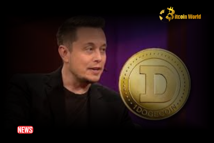 La última publicación X de Elon Musk enloquece a los fanáticos de Dogecoin