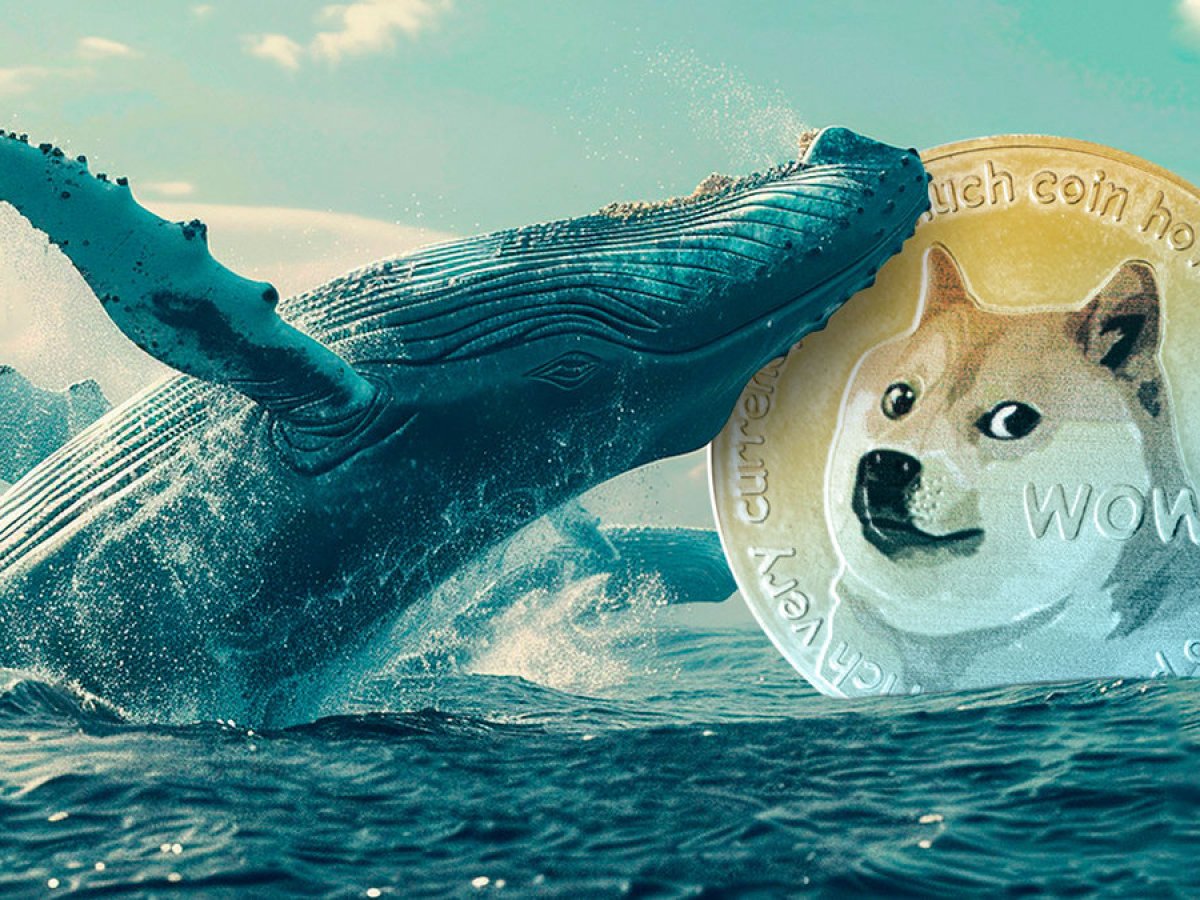 Las ballenas Dogecoin cobran ante un alarmante aumento del precio de Dogecoin