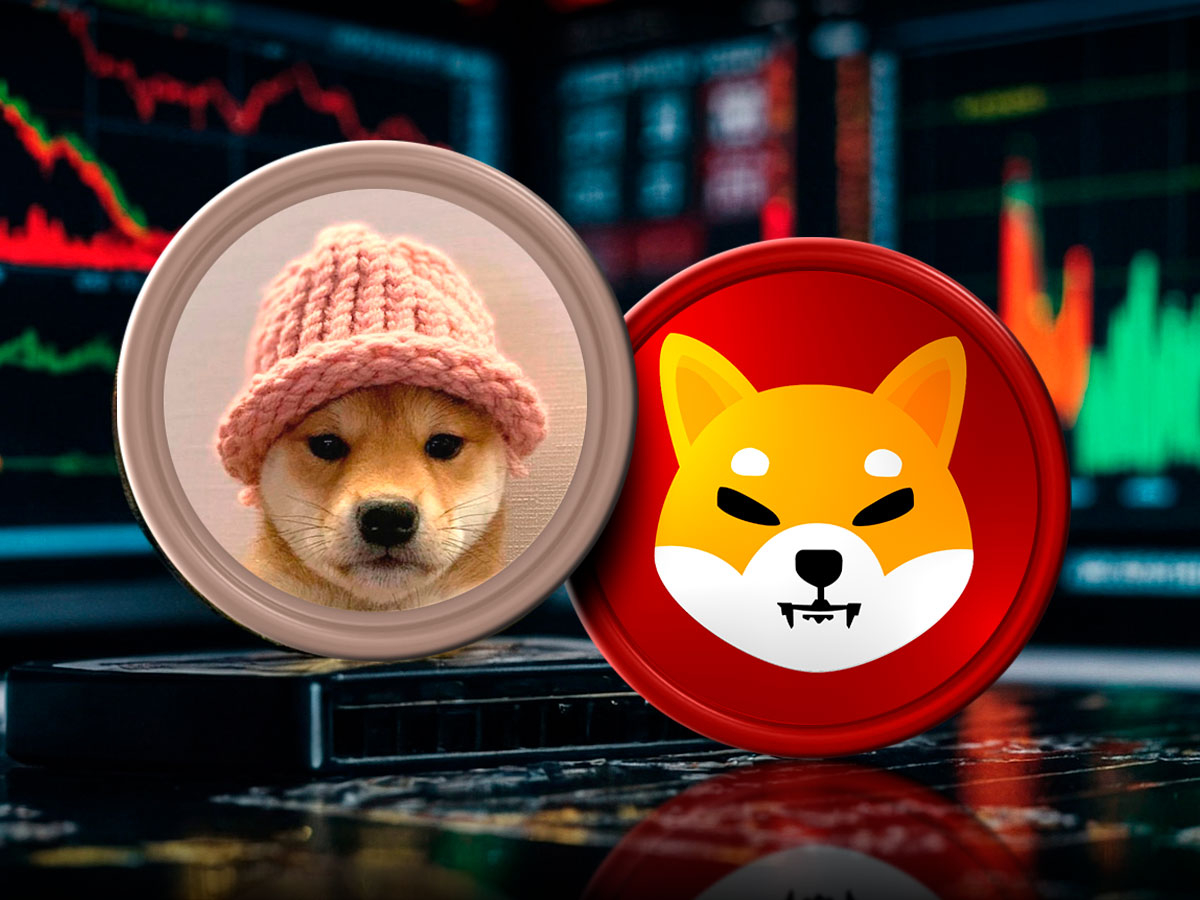 SHIB and WIF Among Worst-Performing Meme Coins