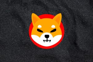 Kraken 增加了新的 SHIB，Shiba Inu 首席开发人员反应