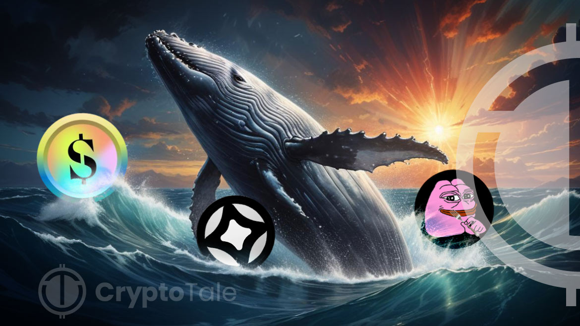 Activité des crypto-baleines : SuperRare, PepeFork et Stargate ouvrent la voie