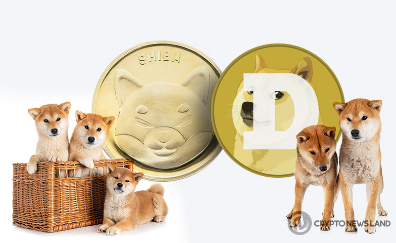 3 auf Ethereum basierende Meme-Münzen wecken Marktoptimismus: SHIB, PEPE, DOGE