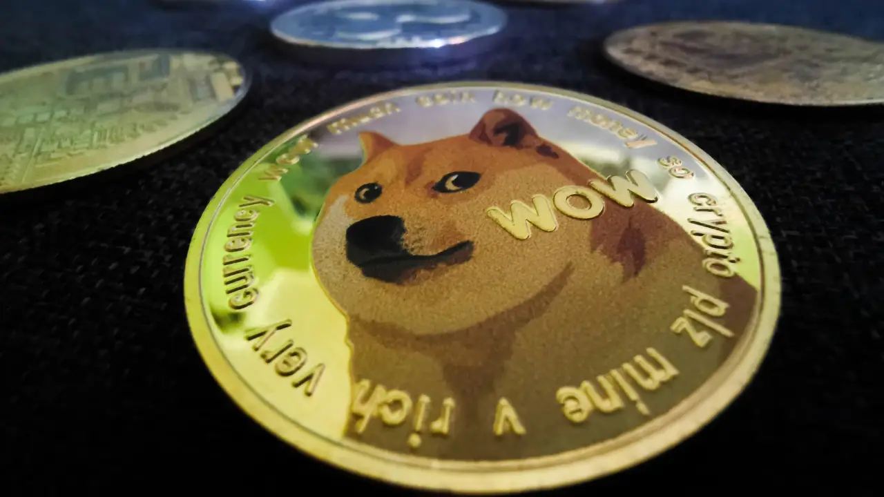 Dogecoin Reveals Project Sakura For Sustainable Development