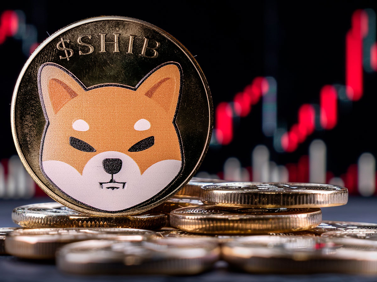 柴犬 (SHIB) 遭受「巨大」的 FUD 困擾