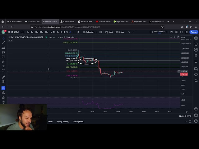 Bitcoin Cash Vs Doge Coin