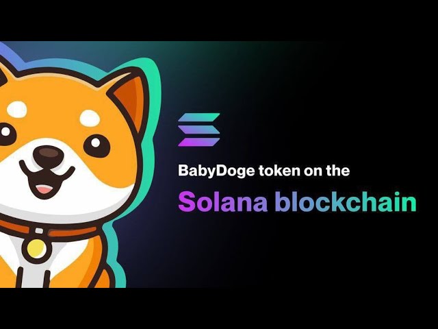 How to Join Baby doge PAWS||Baby doge airdrop ||Mining Baby doge||baby doge token