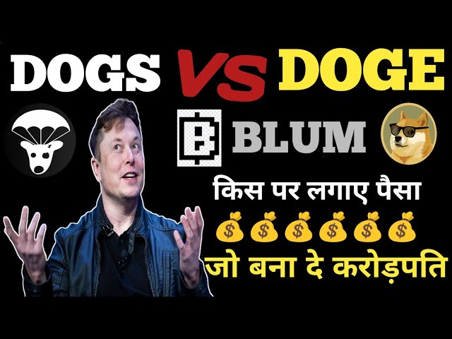 Dogs Coin News Today | Blum Airdrop | Doge Coin Price Prediction#dogecoin #dogs