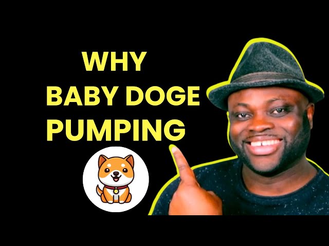 Why is Baby Doge Coin Pumping (Baby Dogecoin Binance Listing)?