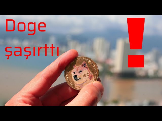 Will Doge coin rise?