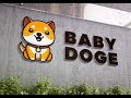 Baby Doge Coin analysis in detail.