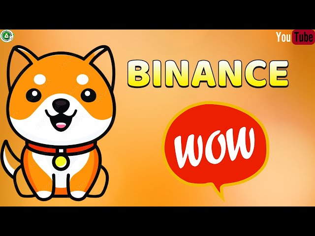 CONFIRMED: Binance list BabyDoge Coin