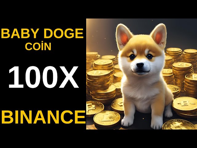 Baby Doge Coin is Listed on Binance!