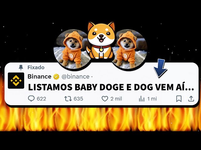 BABY DOGE COIN ON BINANCE AND DOG GO TO THE MOON IS READY FOR BINANCE SO