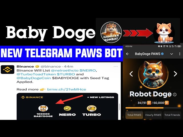 BABY DOGE NEW TELEGRAM PAWS BOT #babydogecoin