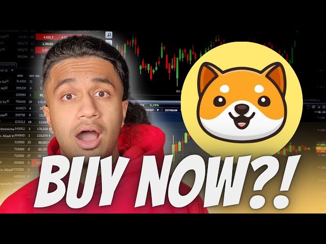 BABY DOGE COIN IS NOW ON BINANCE!! HUGE BABYDOGECOIN NEWS!!