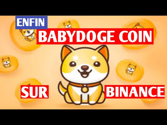 🟥⬇️🚀#BABYDOGE COIN:FINALLY ON #BINANCE //-//#Tether //-//Circle×Soneium