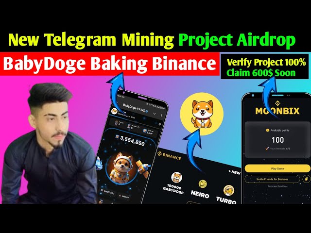 Baby Doge Free Telegram Mining Airdrop Full Details || Ton Station Farming Airdrop || Profit 600$ 🤑